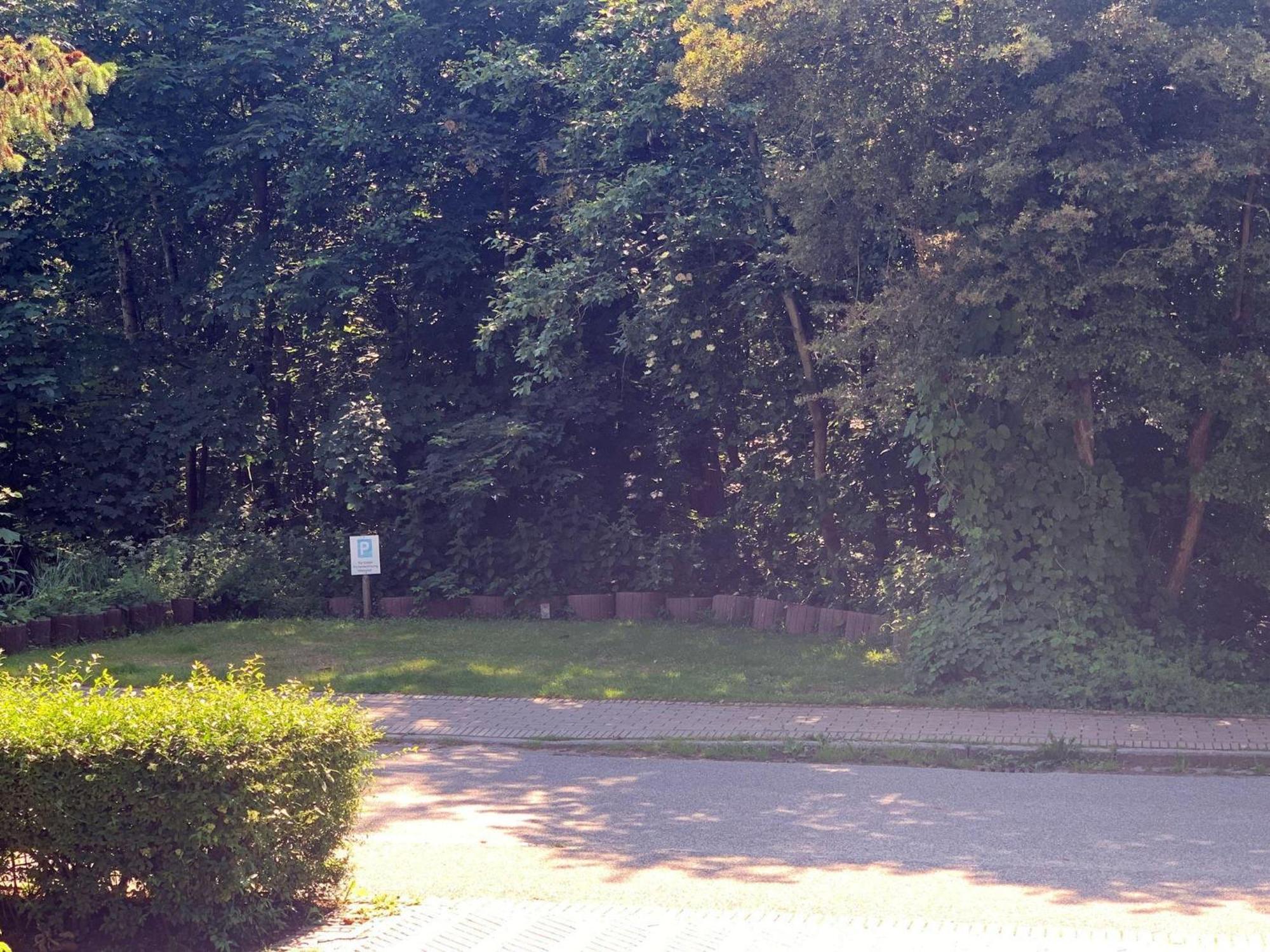 Haus-Koenigsfriesen-Whg-12 Apartment ซังคท์ พีเทอร์-ออร์ดิง ภายนอก รูปภาพ